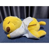 ราคา ตุ๊กตาหมีพูห์ ท่านอน Winnie The Pooh ขนาด 10 นิ้ว (27232733122)