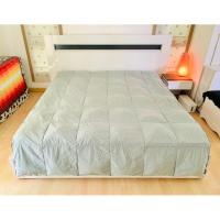 ราคา ผ้านวมขนเป็ด หรือไส้ผ้านวมขนเป็ด (ขนเป็ดละเอียด) ขนาด 6ฟุต สีเขียวลายกราฟฟิก ยี่ห้อ Modern House มือสองเกาหลีแท้ (21893023423)