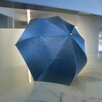 ราคา ร่มพับแบรนด์nina ricci แท้ มือ2 ตู้ญี่ปุ่น สีน้ำเงิน (29651998396)