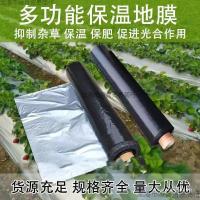 ราคา สะท้อนแสงสองสีเงินเกษตรฟิล์มพื้นสีดําแบรนด์ใหม่วัสดุครอบคลุมฟิล์มพื้นฟิล์มหนาฟิล์มกําจัดวัชพืช (55203958322)