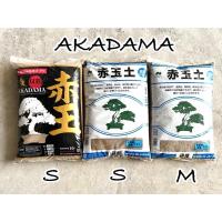 ราคา Akadama soil อคาดามะ ดินญี่ปุ่น ดินปลูกแคคตัส กระบองเพชร โรยหน้าแคคตัส (11317458048)