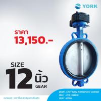 ราคา Butterfly Valve 12 นิ้ว วาล์วปีกผีเสื้อ YORK HD (GEAR) (1783521807)