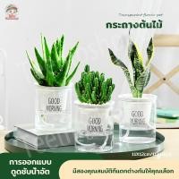 ราคา กระถางต้นไม้พลาสติกสองชั้น โปร่งใส รดน้ำตัวเอง ดูดซับน้ำอัตโนมัติ สำหรับบ้าน/สำนักงาน (42722234363)