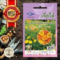 ราคา เมล็ดพันธุ์ ดอกดาวกระจาย สีเหลืองส้มคละสี 1กรัม (3951510281)