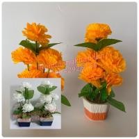 ราคา ต้นดอกมะลิ ดอกมะลิปลอม ต้นมะลิปลอมบนกระถาง ต้นดอกดาวเรือง ดอกดาวเรืองกระถาง (9055962994)