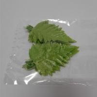 ราคา ใบเฟิร์น ใบเฟิร์นนาคราช สำหรับงานประดิษฐ์ และตกแต่ง (2558375507)