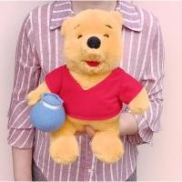 ราคา ตุ๊กตาหมีพูห์ สภาพเหมือนใหม่ The Walt Disney Winnie the Pooh ขนาด 12 นิ้ว (19353416335)