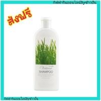 ราคา กิฟฟารีน เวติเวอร์ แชมพู ยาสระผม Shampoo สูตรใส อ่อนโยน ต่อหนังศรีษะ ผมนุ่มสลวย กลิ่นหอม Giffarine ผ่อนคลาย (3931759676)