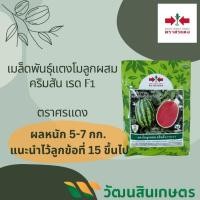 ราคา เมล็ดพันธุ์แตงโม คริมสัน เรด ขนาด 40 กรัม (25541974218)