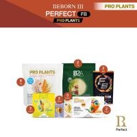 ราคา รีบอร์นโภชนาการที่ดีเพื่อคุณ Reborn III Perfect FB 32,120 (25506148888)