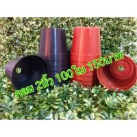 ราคา กระถางพลาสติก 2นิ้ว กลม (4638171165)