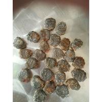 ราคา ฟักข้าว Cochinchin Gourd , เมล็ดพันธุ์ฟักข้าว , เมล็ดพันธุ์ฟักข้าว 20 เมล็ดพันธุ์ (4336231350)