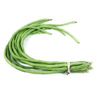 ราคา 50 เมล็ด ถั่วฝักยาวเมล็ดขาว Yard Long Bean (40172554180)