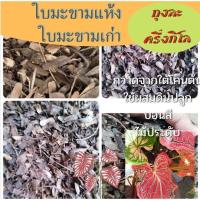 ราคา ใบมะขามหมักล้วน ไม่มีดิน ใบมะขามแห้ง ใบมะขาม 500 กรัม เก็บจากใต้โคนต้น ใบมะขามหมัก ใบมะขามปุ๋ย ปุ๋ยใบมะขามแห้ง (13615809903)