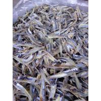 ราคา ปลาฉิ้งฉ้าง ปลาทะเลอ่าวไทย ปลาจิ้งจั้ง ปลาฉิ้งฉั้ง ปลาสดใหม่ ขนาด 500 กรัม (11911312448)