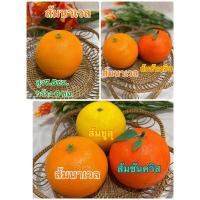 ราคา ผลไม้ปลอม โมเดลส้มนาเวล โมเดลผักผลไม้ โมเดลผลไม้ (7816799197)