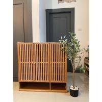 ราคา ส่งในไทย ตู้ใส่รองเท้าสไตล์ญี่ปุ่น รุ่น บาร์ (26057400851)