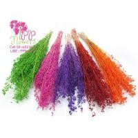 ราคา โหระพาป่า ดอกไม้แห้งJJG29 (2154181122)