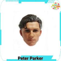 ราคา หัวโมเดล ปีเตอร์ ปาร์กเกอร์ สไปเดอร์แมน Tom Holland Hot toys Spider Man Peter Parker 1/6 ของใหม่ (28230378138)