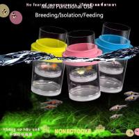 ราคา NONGYODYE กล่องฟักลอย, ตาข่ายพลาสติกโปร่งใสลอยปลา Breeding กล่องแยก, กุ้ง Guppy Aquarium Breeder ที่ถอดออกได้ Fish Hatchery Incubator Breeder กล่อง (56255059264)