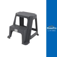 ราคา HomePro บันไดทางเดียว 2 ขั้น MATALL MINI สีเทา แบรนด์ MATALL (11365039990)