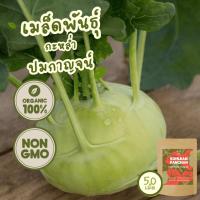 ราคา เมล็ดพันธุ์ กะหล่ำปม 100% ออร์แกนิค Non-GMO (Organic Kohlrabi Seed) บรรจุ 50 เมล็ด (43201923219)