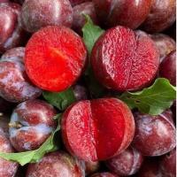 ราคา ลูกพลัมสด ลูกไหนแดง สดจากดอย ไร้สาร ขนาด 1 กก.คละไซต์ (24311159254)