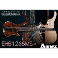 ราคา กีตาร์เบสไฟฟ้าหัวตัด Ibanez BASS WORKSHOP รุ่นใหม่ EHB1265MS สี NML : Natural Mocha Low Gloss (20137497087)
