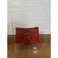 ราคา กระเป๋าผู้หญิง Charles & Keith Lucite Buckle Clutch (50554048992)