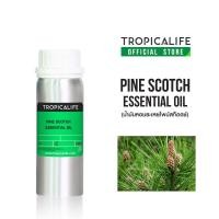 ราคา น้ำมันหอมระเหยไพน์ สก็อตช์ ขนาดใหญ่ 100ml /500g TROPICALIFE PINE SCOTCH ESSENTIAL OIL (29630422786)