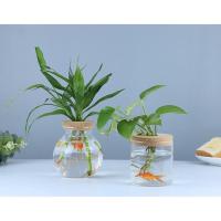 ราคา (พร้อมส่ง)กระถางแก้ว กระถางต้นไม้แบบใส โถวแก้วปลูกต้นไม้ เลี้ยงปลา กระถางเลี้ยงปลา ส่งไว (3183275910)
