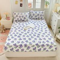 ราคา ชุดเครื่องนอนผ้าฝ้าย 3 ชิ้นเกาหลี นุ่มลื่น โปร่งสบาย (43264550012)