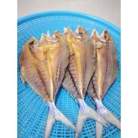 ราคา ปลาเสียด ปลาสีเสียดเค็ม 400-500กรัม ปลาสีเสียดแห้ง ปลาเสียดแห้ง ปลาตากแห้ง ปลาสีเสียด ปลาเค็ม อาหารทะเลแห้ง แกงเทโพ (24277299631)