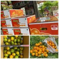 ราคา ส้มสวย 9 กก ส้มสายน้ำผึ้ง อ.ฝาง เชียงใหม่ รสชาติดี เก็บสดทุกวัน (5113307313)