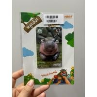 ราคา Rabbit Card บัตร BTS บัตรแรบบิท หมูเด้ง สำหรับบุคคลทั่วไป (Moodeng) (26411950669)