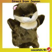 ราคา 【ส่งตรงจากญี่ปุ่น】หุ่นกระบอกน่ารักๆ คอลเลคชั่น ZOO หุ่นกระบอกนากเล็บสั้นเอเชีย (29624698240)