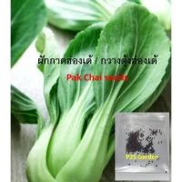 ราคา เมล็ดพันธุ์ ผักกาดฮ่องเต้ ซองละ 250 เม็ด กวางตุ้งฮ่องเต้ Pak Chai seeds (29163145349)
