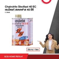 ราคา Chaindrite Stedfast 40 EC เชนไดรท์ สเตดฟาส 40 อีซี ปริมาณ 1 ลิตร ป้องกัน กำจัดปลวก มด และแมลงที่อาศัยอยู่ใต้ดินสต็อคสิชล (10159750643)