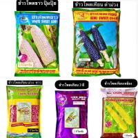 ราคา สิงโต เมล็ด ข้าวโพด ขาวปุ้มปุ้ย,เทียนดำ,ข้าวโพดเทียนม่วง-ขาว,ข้าวโพดเทียน3สี,ข้าวโพดเทียนเหลือง,เทียนขาว (1 กิโลกรัม) (40602372402)