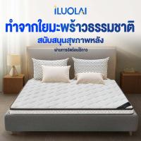 ราคา ILUOLAI ที่นอน 3ฟุต 3.5ฟุต 5 ฟุต 6 ฟุต ที่นอนยางพาราแท้ 100% TOPPER COD บรรเทาอาการปวดหลัง สัมผัสนุ่ม แข็งแรง กระจายแรงกด (24868989534)
