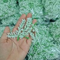 ราคา ดอกแซม ดอกหญ้า [[ถุง100ดอก ]] ดอกหญ้า (28026407528)