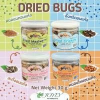ราคา หนอนนกอบแห้ง จิ้งหรีด สะดิ้ง หนอนไหมอบแห้ง ผักผลไม้อบแห้ง สำหรับหนูแฮมสเตอร์ เม่นแคระ (27066854600)