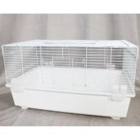 ราคา (ส่งฟรี) มือสอง✌️ กรงหนูแฮมสเตอร์ (16558950085)