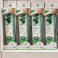 ราคา Dentiste Plus White ยาสีฟัน เดนทิสเต้ สูตรออริจินัล Toothbrush 100g/160g (11463257798)