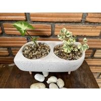 ราคา กระถางอิฐมวลเบา 2 หลุม (10555092218)