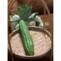 ราคา ผักปลอม โมเดลผักผลไม้ มะระปลอม โมเดลมะระ (ราคาต่อ 1 ชิ้น) (23871904371)