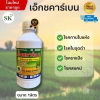 ราคา เอ็กซคาร์เบนดาซิม 50-คาร์เบนดาซิม สูตรผสม 50% W/V SC ขนาด 1 ลิตร (43157253482)
