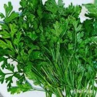 ราคา ผลิตภัณฑ์ใหม่ เมล็ดพันธุ์ จุดประเทศไทย ❤เมล็ดอวบอ้วน หอมแย้  ยำแย้ ลำแย้ อีแงะ  ผักสะแงะ  เมล็ดนำไปปลูกต่อได้  ซ/ผักบุ้ง (21068388928)