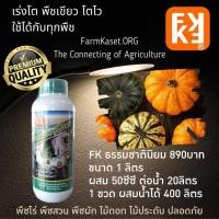 ราคา โรคฟักทอง โรคราน้ำค้าง ฟักทองใบไหม้ โรคราต่างๆ เพลี้ย โรคยอดตั้ง หนอน ปุ๋ย สำหรับ ฟักทอง คุณภาพสูง (ใช้ได้ทุกพืช) FK (21713193820)