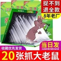 ราคา ครัวเรือนซุปเปอร์ที่มีประสิทธิภาพพิษหนูจับหนูจับหนูกรงหนูกาวหนูคณะกรรมการหนึ่งรังหนีบเครื่องมือที่มีประโยชน์บัสเตอร์เมาส์สติกเกอร์ วีอาร์วี9 (55652105205)